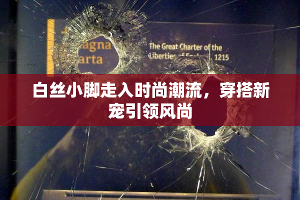 白丝小脚走入时尚潮流，穿搭新宠引领风尚