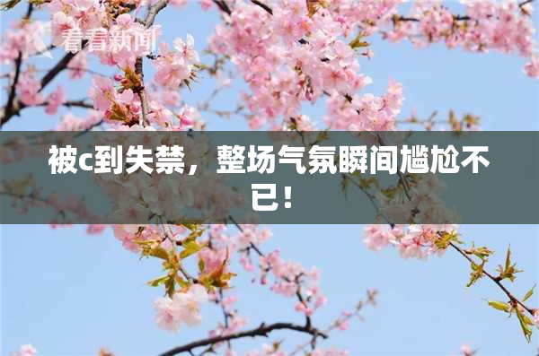 被c到失禁，整场气氛瞬间尴尬不已！