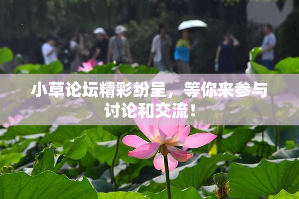 小草论坛精彩纷呈，等你来参与讨论和交流！