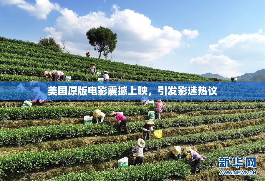 美国原版电影震撼上映，引发影迷热议