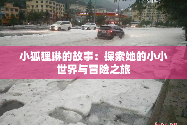小狐狸琳的故事：探索她的小小世界与冒险之旅