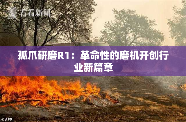 孤爪研磨R1：革命性的磨机开创行业新篇章
