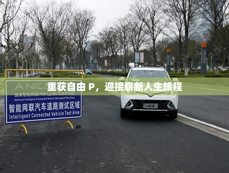 重获自由 P，迎接崭新人生旅程