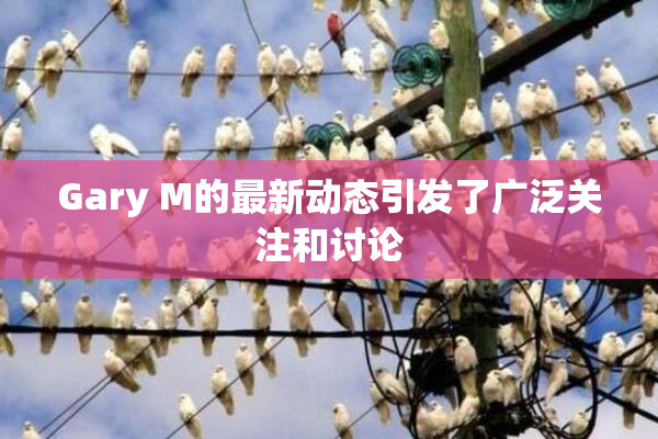 Gary M的最新动态引发了广泛关注和讨论