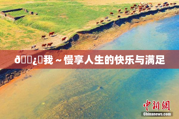 🌿‌我～慢享人生的快乐与满足