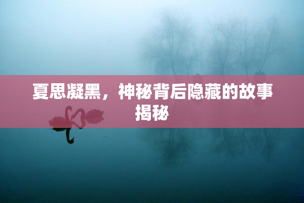 夏思凝黑，神秘背后隐藏的故事揭秘
