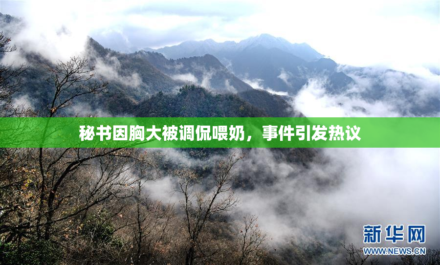 秘书因胸大被调侃喂奶，事件引发热议