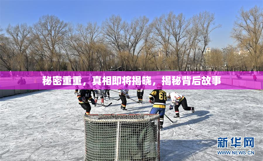 秘密重重，真相即将揭晓，揭秘背后故事