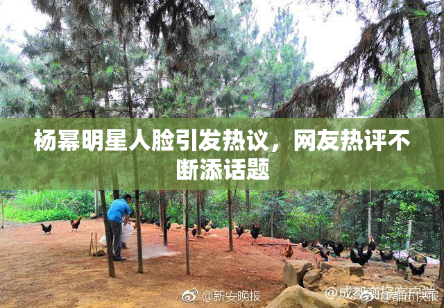 杨幂明星人脸引发热议，网友热评不断添话题