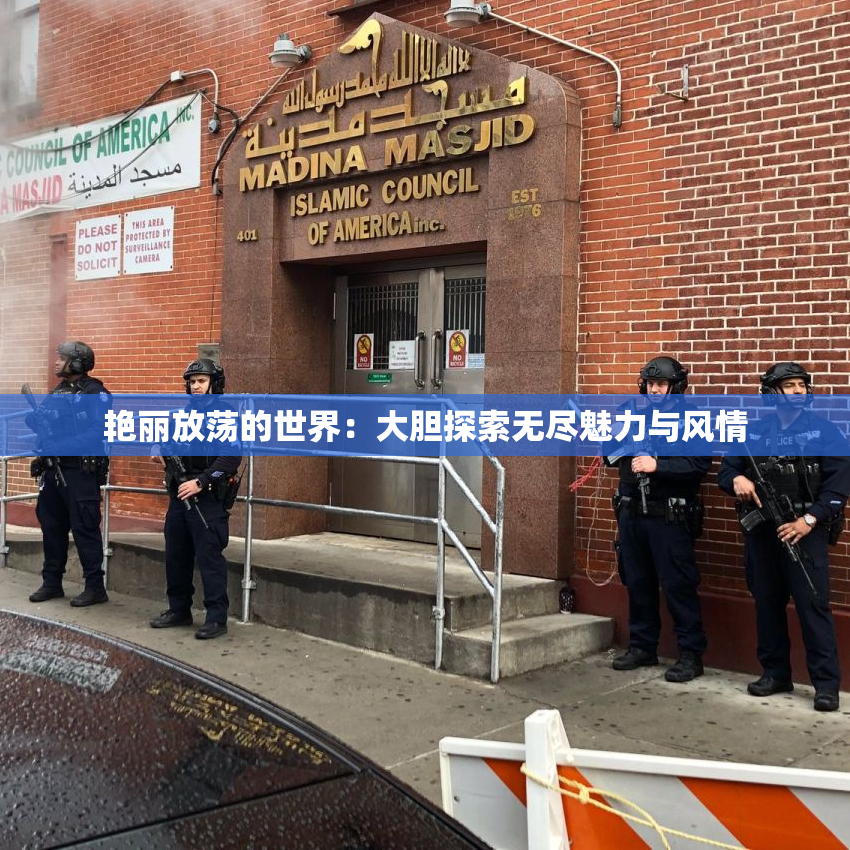 艳丽放荡的世界：大胆探索无尽魅力与风情