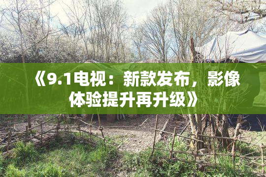 《9.1电视：新款发布，影像体验提升再升级》