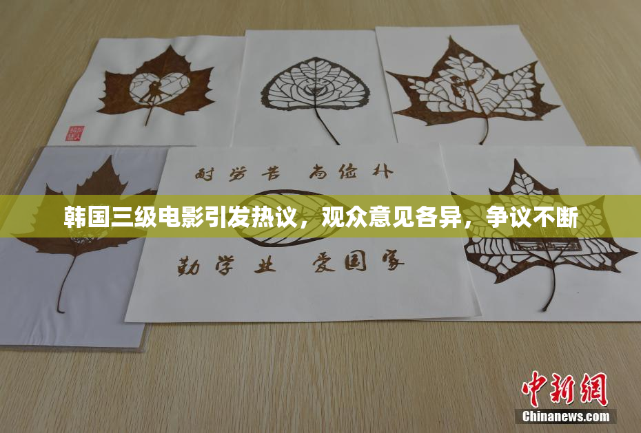 韩国三级电影引发热议，观众意见各异，争议不断