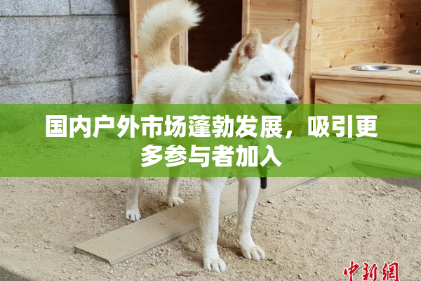 国内户外市场蓬勃发展，吸引更多参与者加入