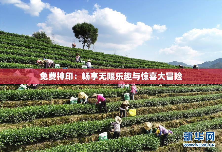 免费神印：畅享无限乐趣与惊喜大冒险
