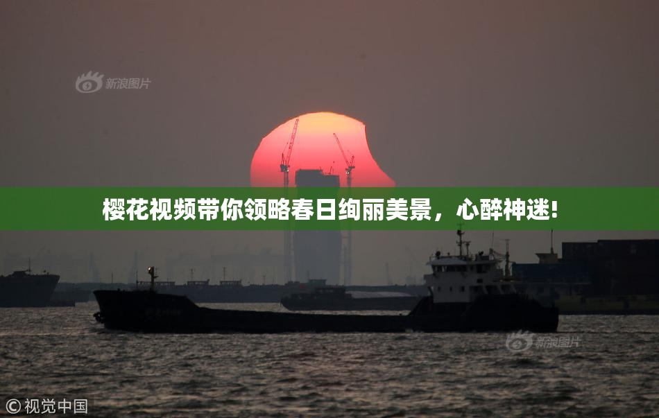樱花视频带你领略春日绚丽美景，心醉神迷!