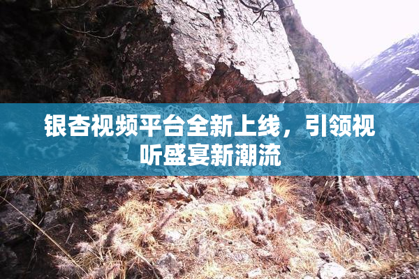银杏视频平台全新上线，引领视听盛宴新潮流