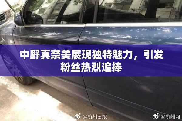 中野真奈美展现独特魅力，引发粉丝热烈追捧