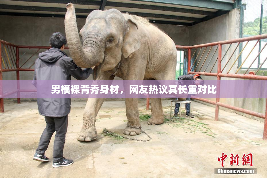 男模裸背秀身材，网友热议其长重对比
