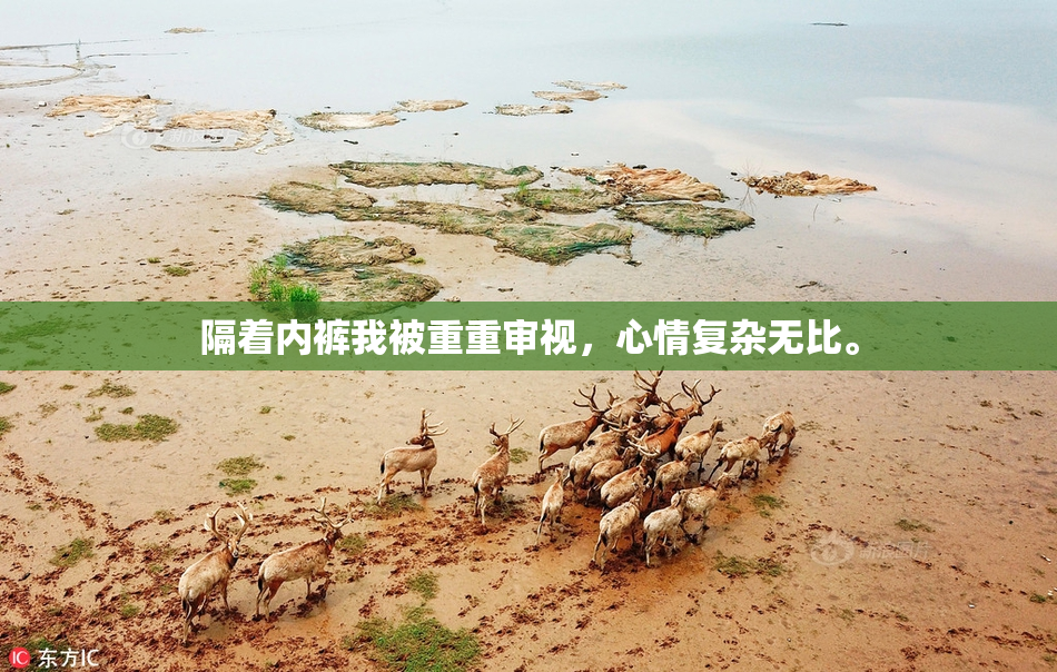 隔着内裤我被重重审视，心情复杂无比。