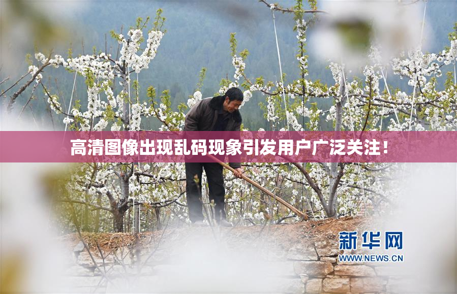 高清图像出现乱码现象引发用户广泛关注！