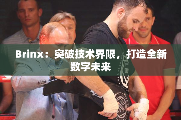 Brinx：突破技术界限，打造全新数字未来