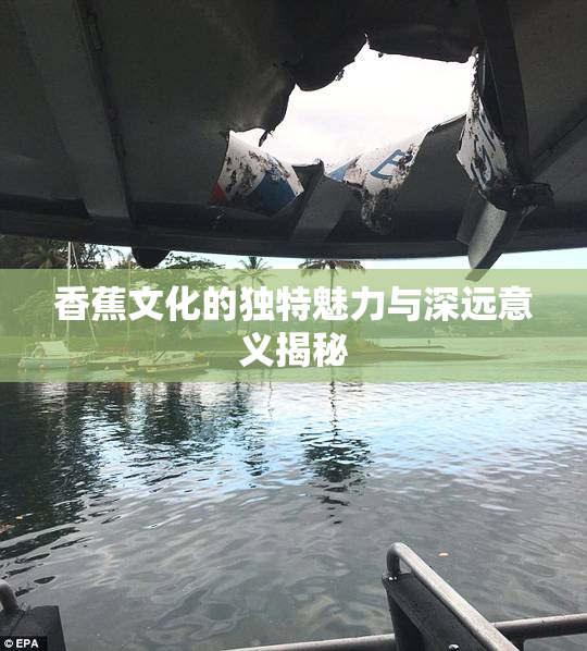 香蕉文化的独特魅力与深远意义揭秘