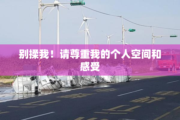 别揉我！请尊重我的个人空间和感受