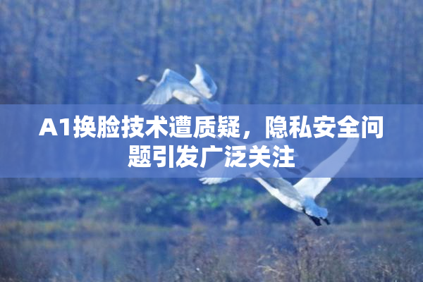 A1换脸技术遭质疑，隐私安全问题引发广泛关注