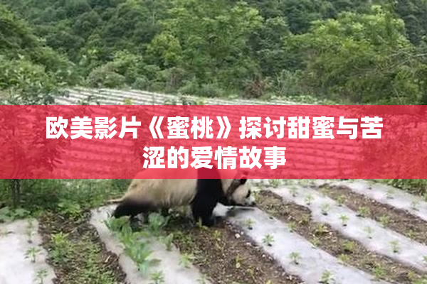 欧美影片《蜜桃》探讨甜蜜与苦涩的爱情故事