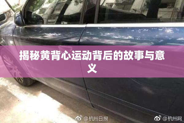 揭秘黄背心运动背后的故事与意义