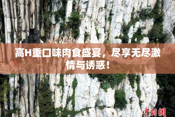 高H重口味肉食盛宴，尽享无尽激情与诱惑！