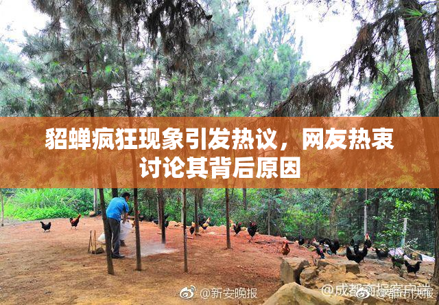 貂蝉疯狂现象引发热议，网友热衷讨论其背后原因