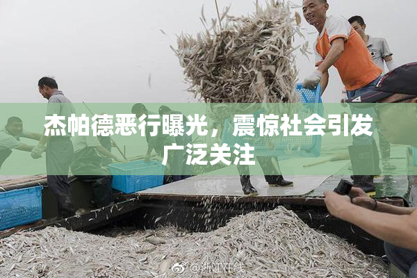 杰帕德恶行曝光，震惊社会引发广泛关注