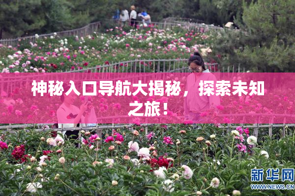 神秘入口导航大揭秘，探索未知之旅！