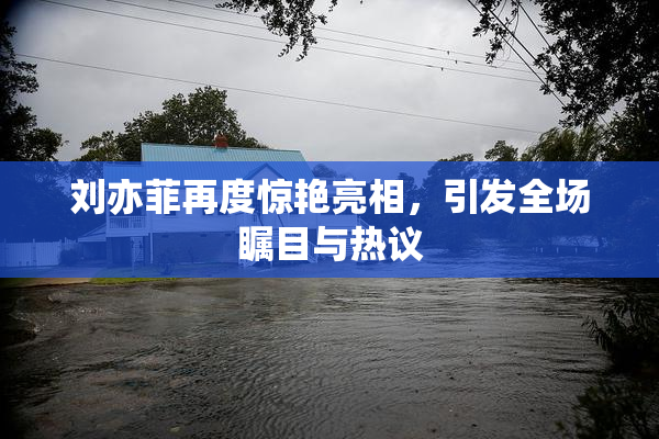 刘亦菲再度惊艳亮相，引发全场瞩目与热议