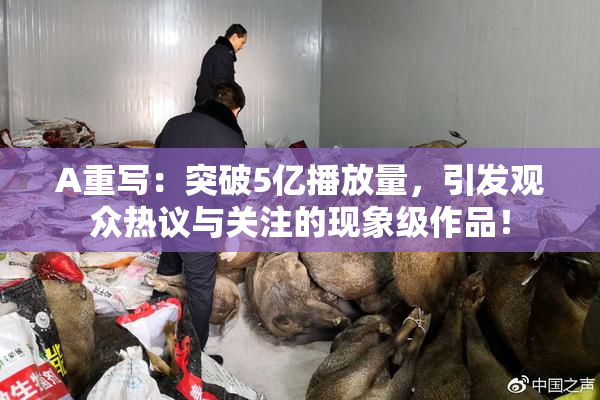 A重写：突破5亿播放量，引发观众热议与关注的现象级作品！
