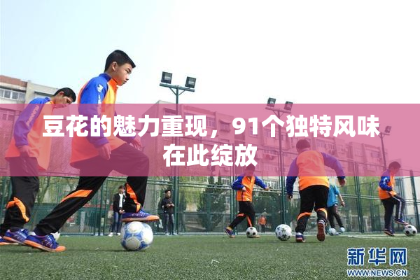 豆花的魅力重现，91个独特风味在此绽放
