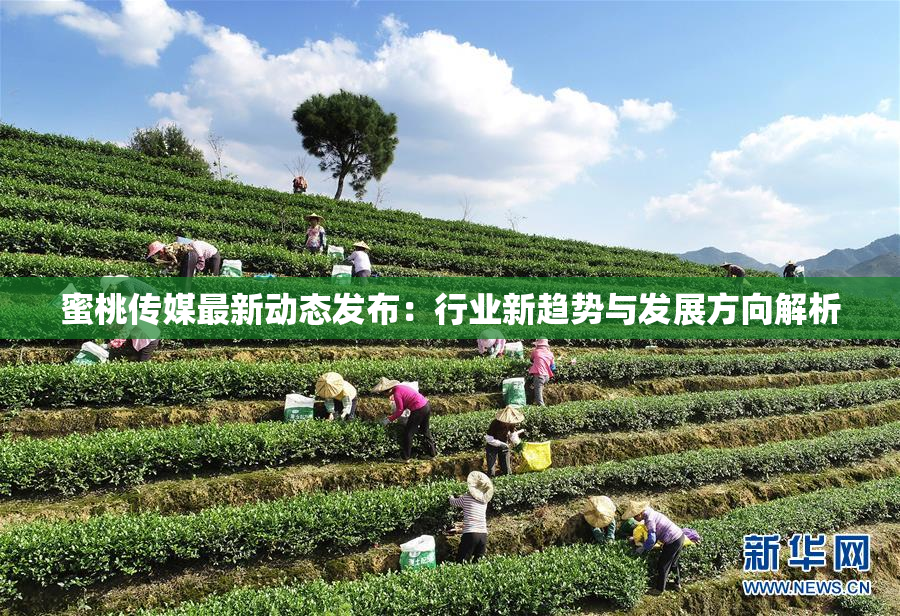 蜜桃传媒最新动态发布：行业新趋势与发展方向解析