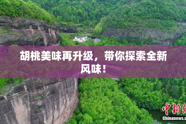 胡桃美味再升级，带你探索全新风味！