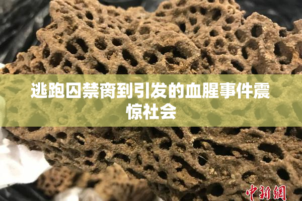 逃跑囚禁脔到引发的血腥事件震惊社会