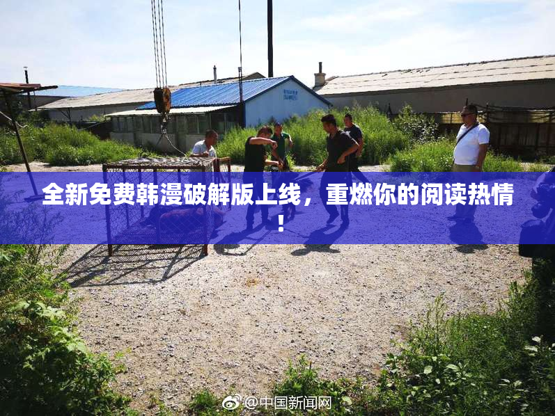 全新免费韩漫破解版上线，重燃你的阅读热情！