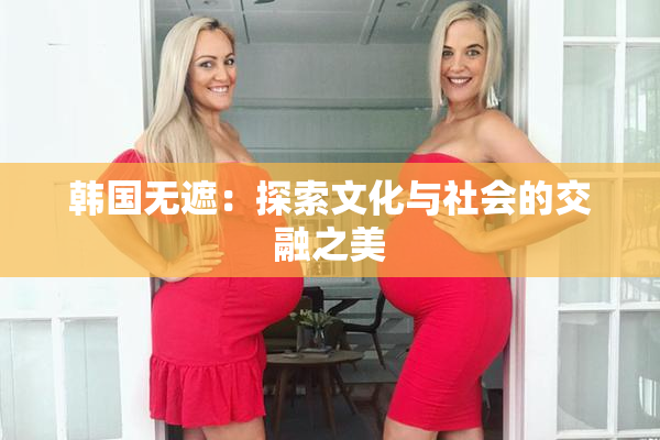 韩国无遮：探索文化与社会的交融之美