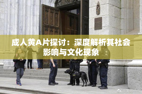 成人黄A片探讨：深度解析其社会影响与文化现象