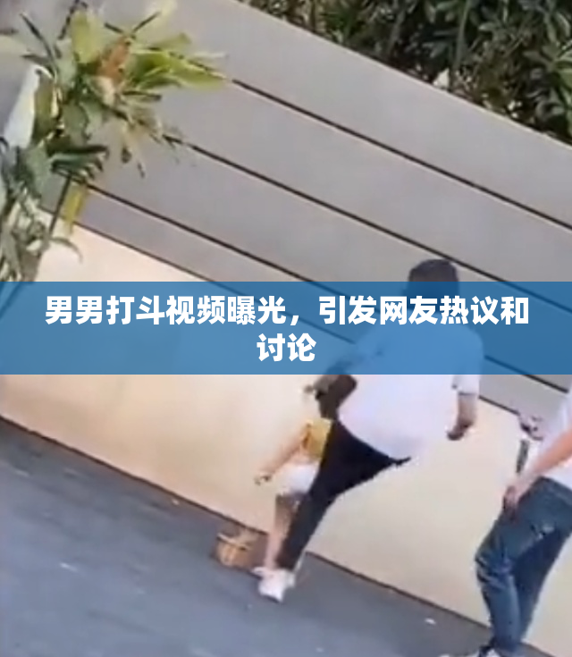 男男打斗视频曝光，引发网友热议和讨论
