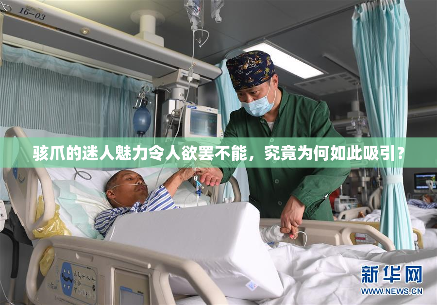 骇爪的迷人魅力令人欲罢不能，究竟为何如此吸引？
