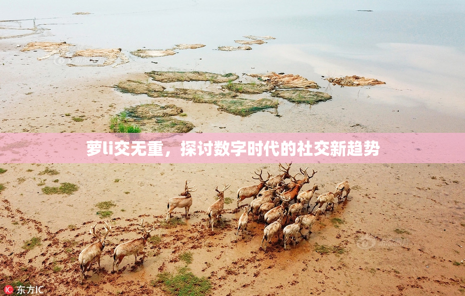 萝li交无重，探讨数字时代的社交新趋势