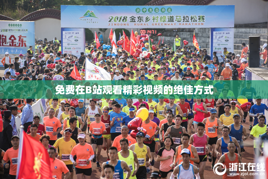 免费在B站观看精彩视频的绝佳方式