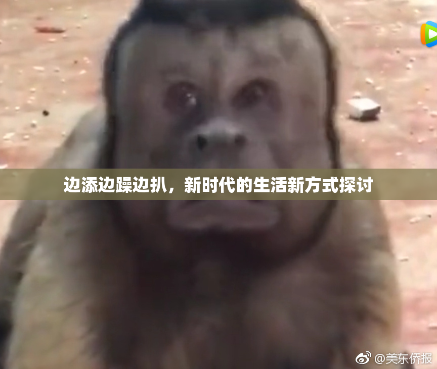 边添边躁边扒，新时代的生活新方式探讨