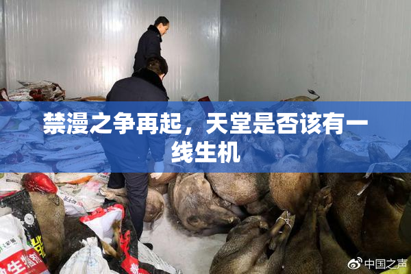 禁漫之争再起，天堂是否该有一线生机