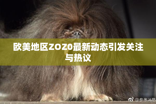 欧美地区ZOZ0最新动态引发关注与热议